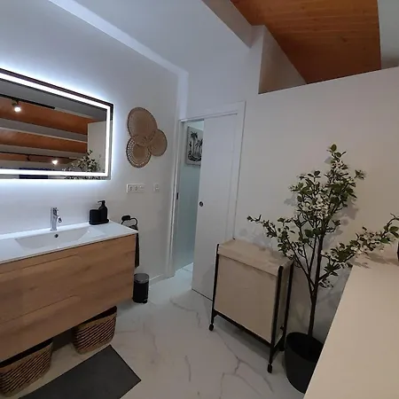 Apartment Atico Roseta Luxury